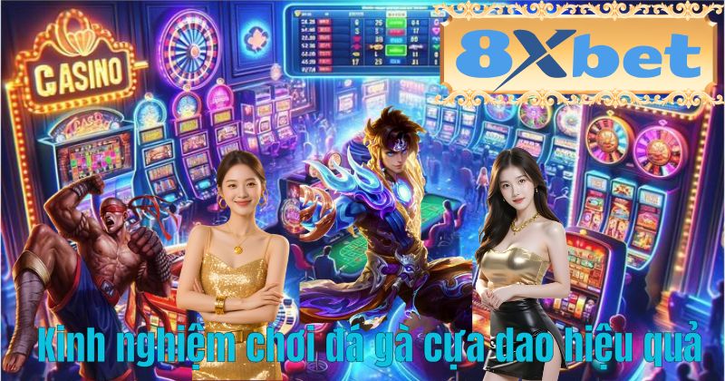 Kinh nghiệm chơi đá gà cựa dao hiệu quả