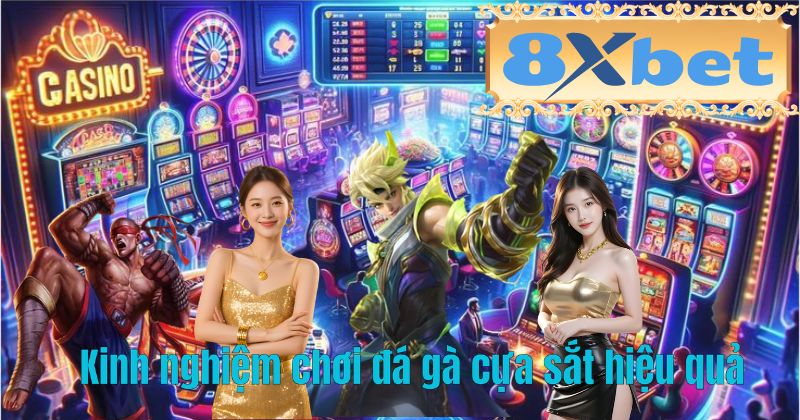 Kinh nghiệm chơi đá gà cựa sắt hiệu quả